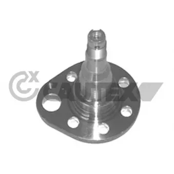 Moyeu de roue arrière gauche CAUTEX 461009