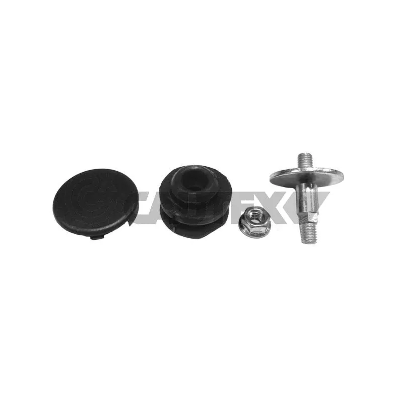 Éléments de fixation, cache moteur CAUTEX 461028