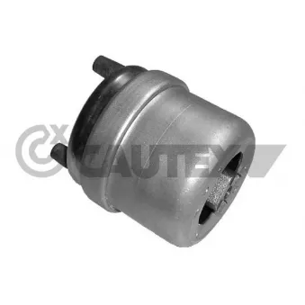 Support moteur CAUTEX