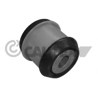 Support moteur CAUTEX 461066