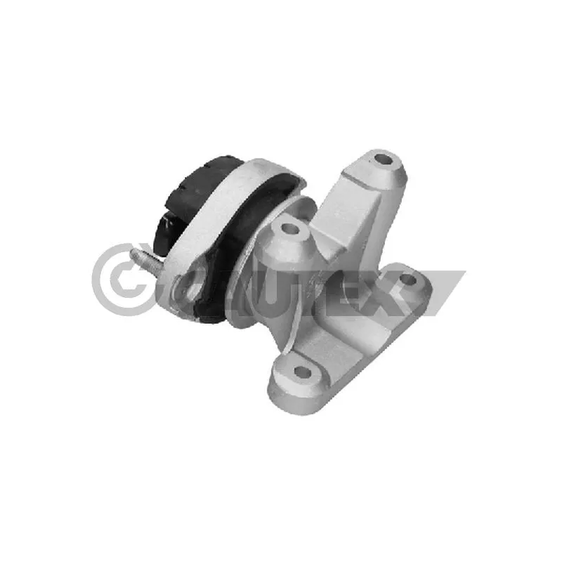 Suspension, boîte automatique CAUTEX 461144