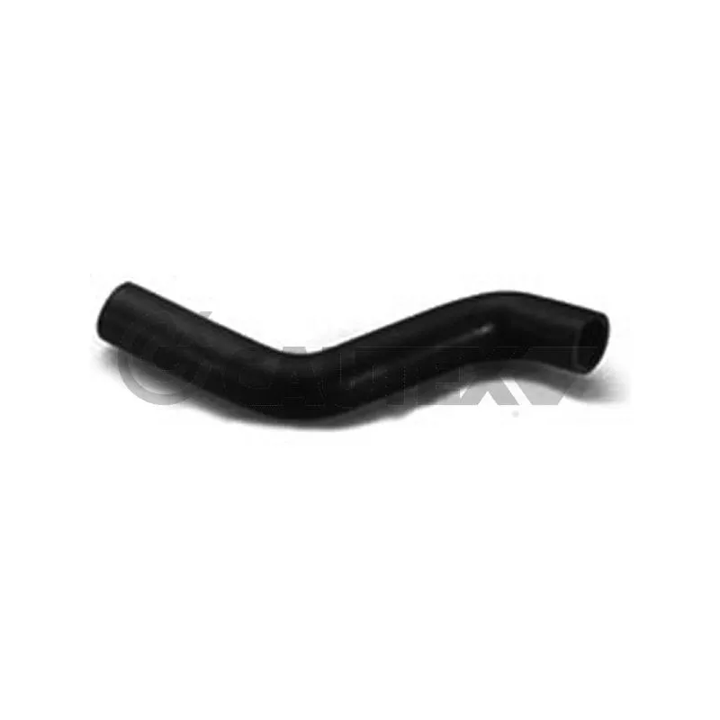 Durite de radiateur CAUTEX 466054