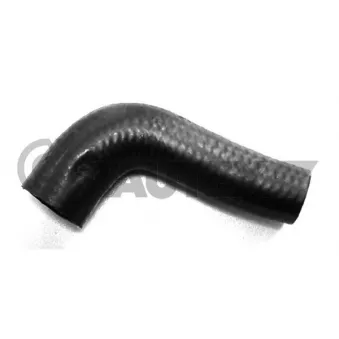 Durite de radiateur CAUTEX 466776