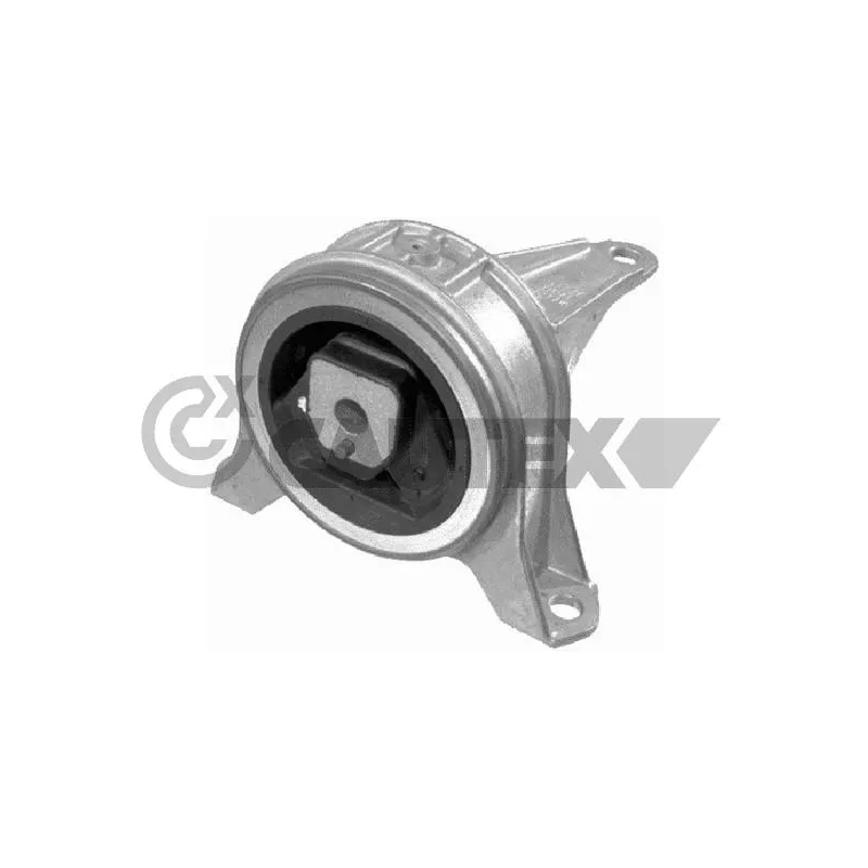 Support moteur CAUTEX 480491