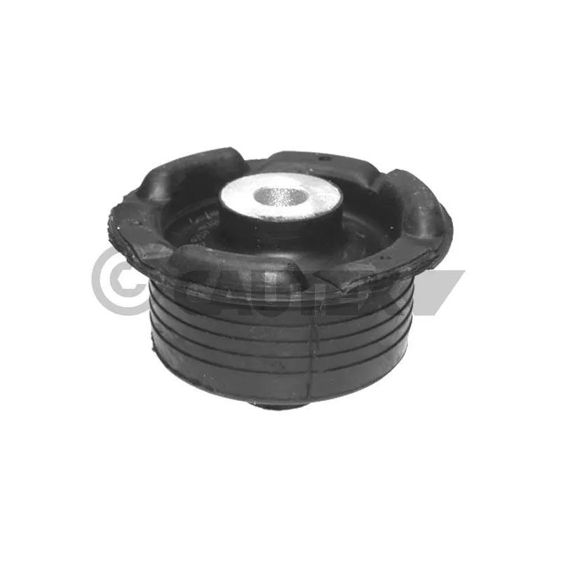 Suspension, corps de l'essieu CAUTEX 480886