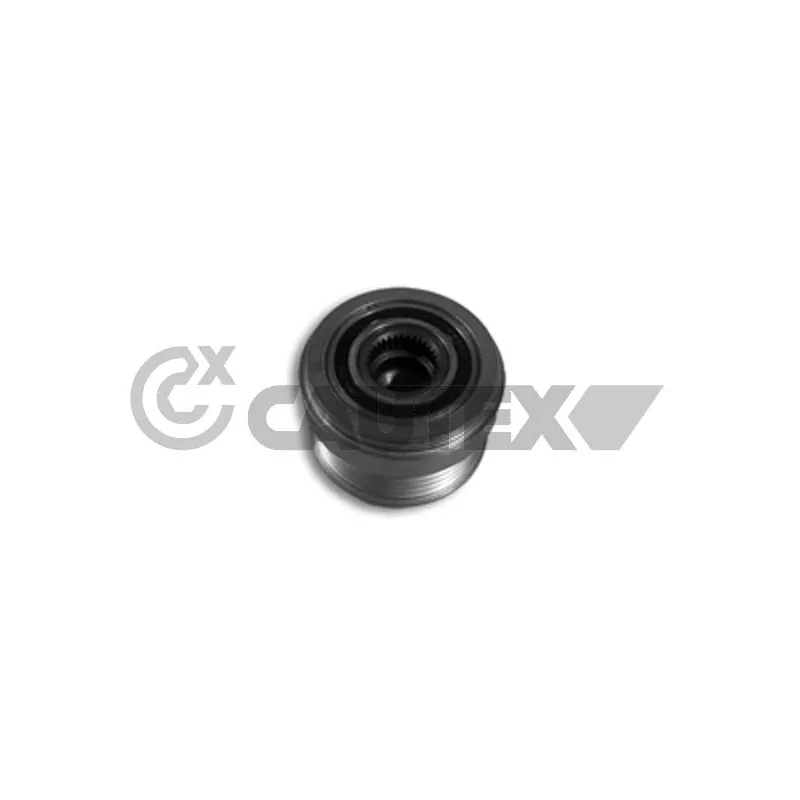 Poulie, alternateur CAUTEX 480905