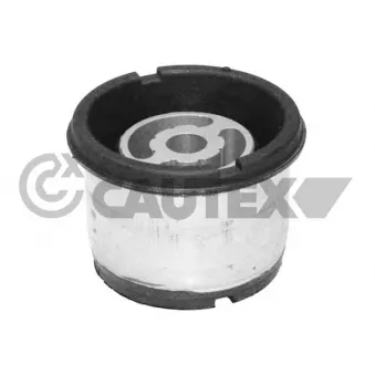 Suspension, corps de l'essieu CAUTEX 481138