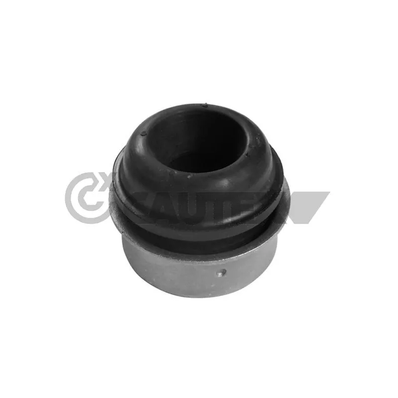 Suspension, corps de l'essieu CAUTEX 482511