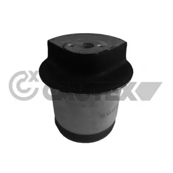 Suspension, corps de l'essieu CAUTEX 482566