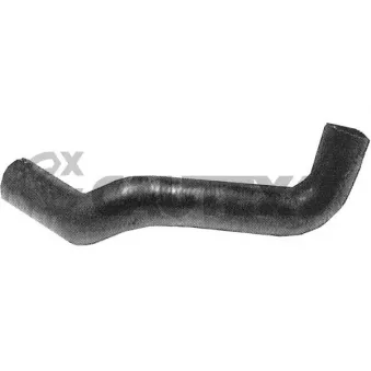 Durite de radiateur CAUTEX 486013