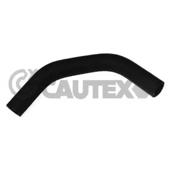 Durite de radiateur CAUTEX 486033