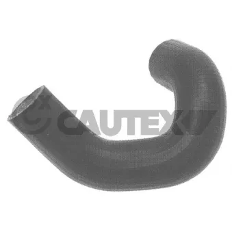 Durite de radiateur CAUTEX 486040