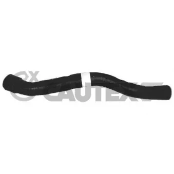 Durite de radiateur CAUTEX 486082
