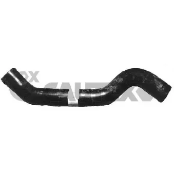 Durite de radiateur CAUTEX 486104