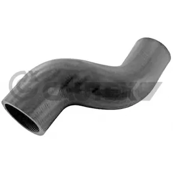 Durite de radiateur CAUTEX 486236
