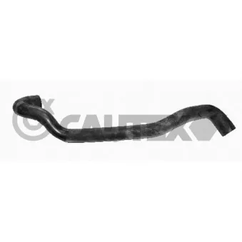 Durite de radiateur CAUTEX 486531
