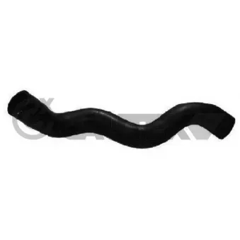 Durite de radiateur CAUTEX 486536