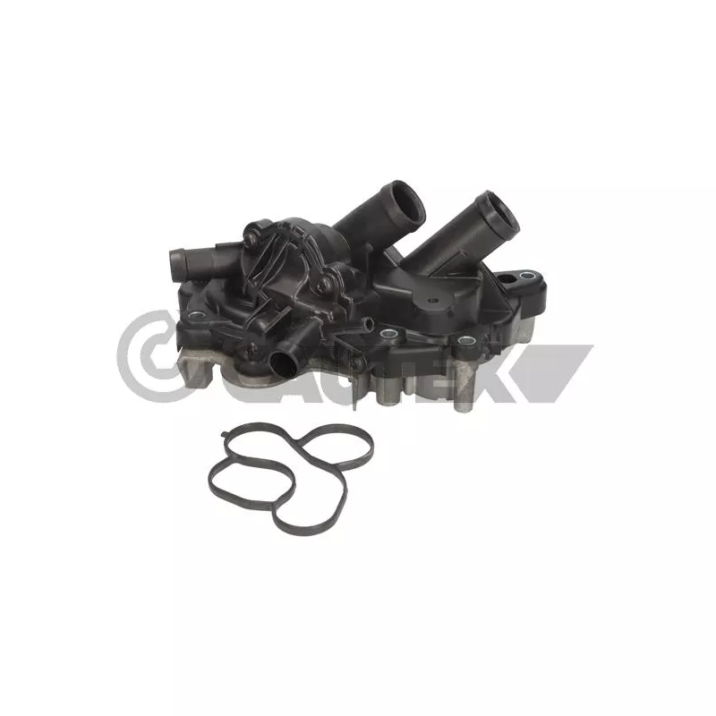 Pompe à eau, refroidissement du moteur CAUTEX 750254