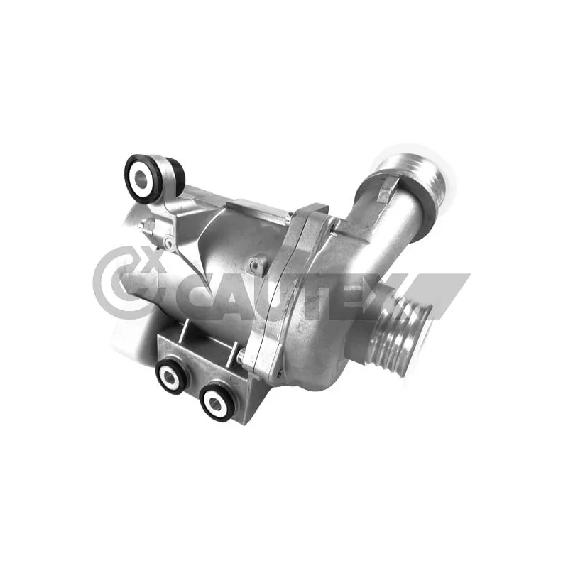 Pompe à eau, refroidissement du moteur CAUTEX 750669