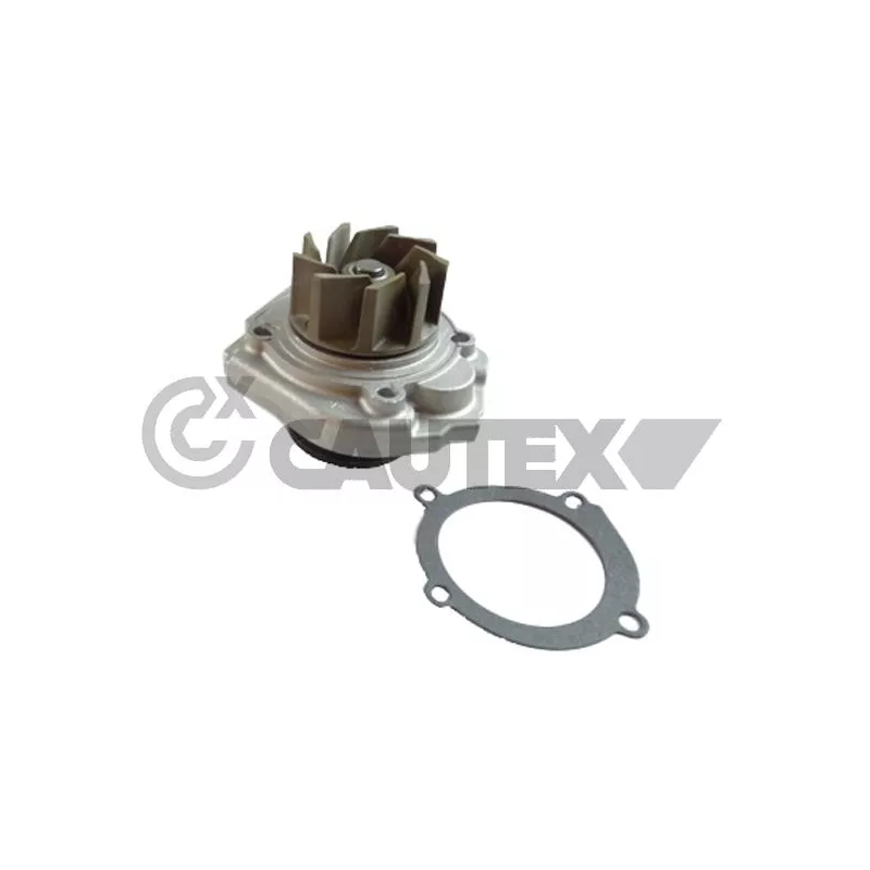 Pompe à eau, refroidissement du moteur CAUTEX 750670