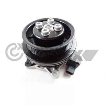 Pompe à eau, refroidissement du moteur CAUTEX 750671