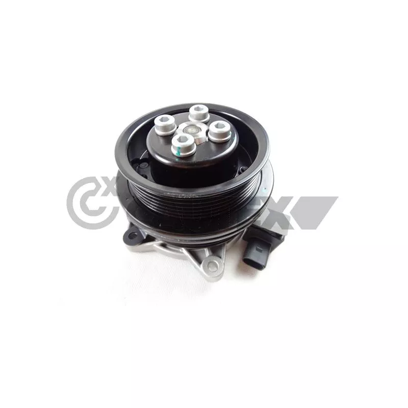 Pompe à eau, refroidissement du moteur CAUTEX 750671