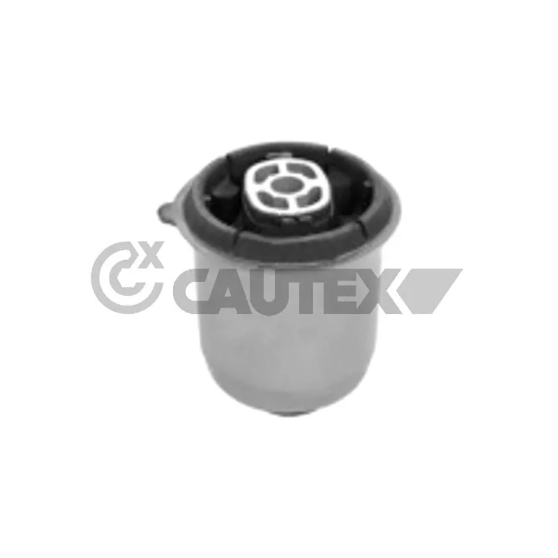 Suspension, corps de l'essieu CAUTEX 750690