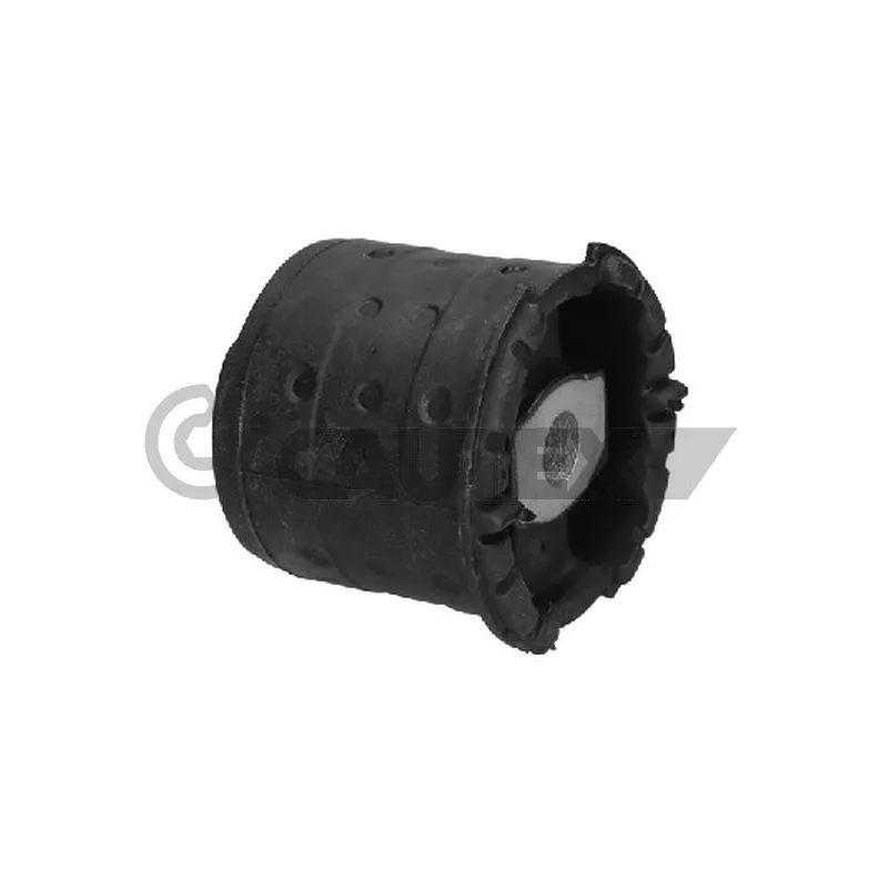 Suspension, corps de l'essieu CAUTEX 750699