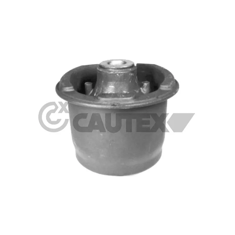 Suspension, corps de l'essieu CAUTEX 750702