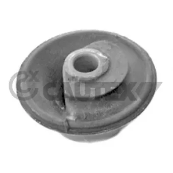 Suspension, corps de l'essieu CAUTEX 750703