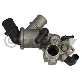 Thermostat, liquide de refroidissement CAUTEX 750786