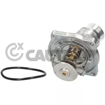 Bride de liquide de refroidissement CAUTEX 750818