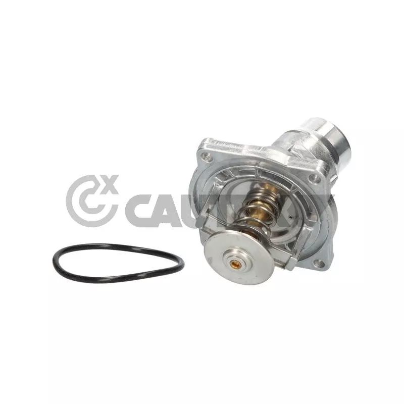 Bride de liquide de refroidissement CAUTEX 750818