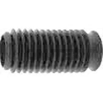 Bouchon de protection/soufflet, amortisseur CAUTEX 750846