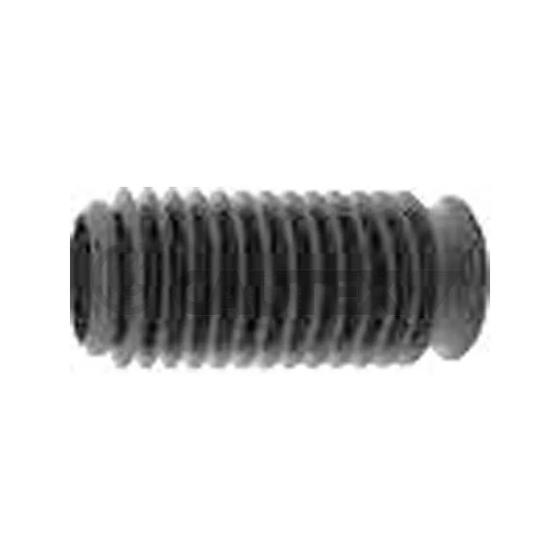 Bouchon de protection/soufflet, amortisseur CAUTEX 750846