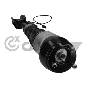 Armortisseur pneumatique avant droit CAUTEX 752024