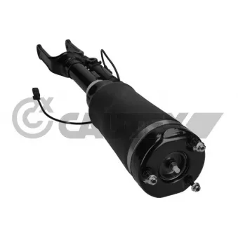 Armortisseur pneumatique CAUTEX 752027