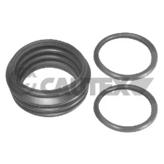 Soufflets de cardan avant CAUTEX 752178