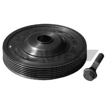 Kit de poulies, vilebrequin CAUTEX 752344