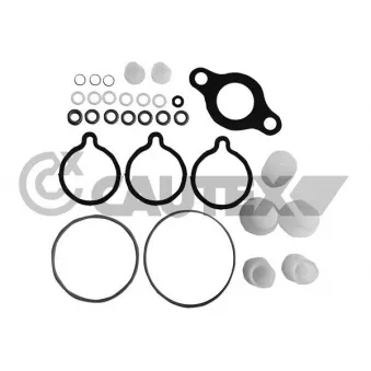 Kit de réparation, unité pompe-injecteur CAUTEX 752352