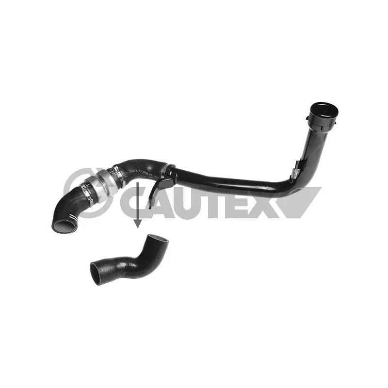 Gaine de suralimentation CAUTEX 752697
