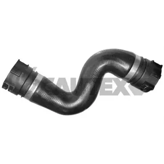 Durite de radiateur CAUTEX 752719