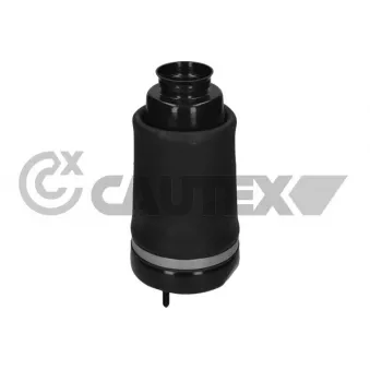 Ressort pneumatique, châssis CAUTEX 752906