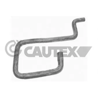 Durite de radiateur CAUTEX 752941