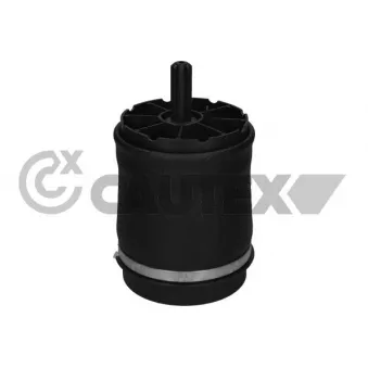 Ressort pneumatique, châssis CAUTEX 753021