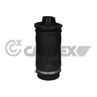 Ressort pneumatique, châssis CAUTEX 753068