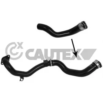 Gaine de suralimentation CAUTEX 753095