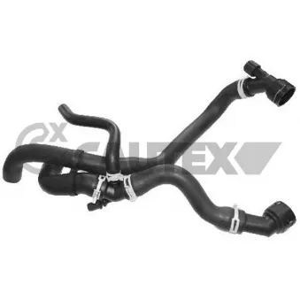 Durite de radiateur CAUTEX 753192