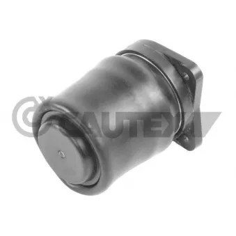 Ressort pneumatique, châssis CAUTEX 753206