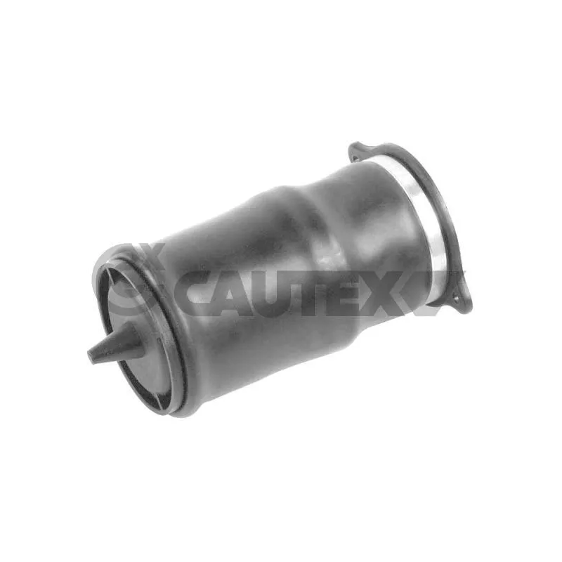 Ressort pneumatique, châssis CAUTEX 753217